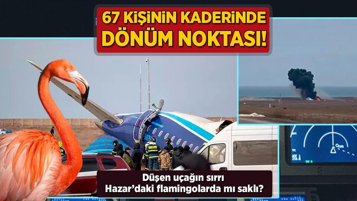 67 kişinin kaderinde dönüm noktası! Düşen uçağın sırrı Hazar'daki flamingolarda mı saklı?