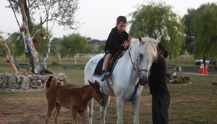 Böylesi görülmedi! Kısır sanılıyordu! 10 yıl sonra doğum yaptı