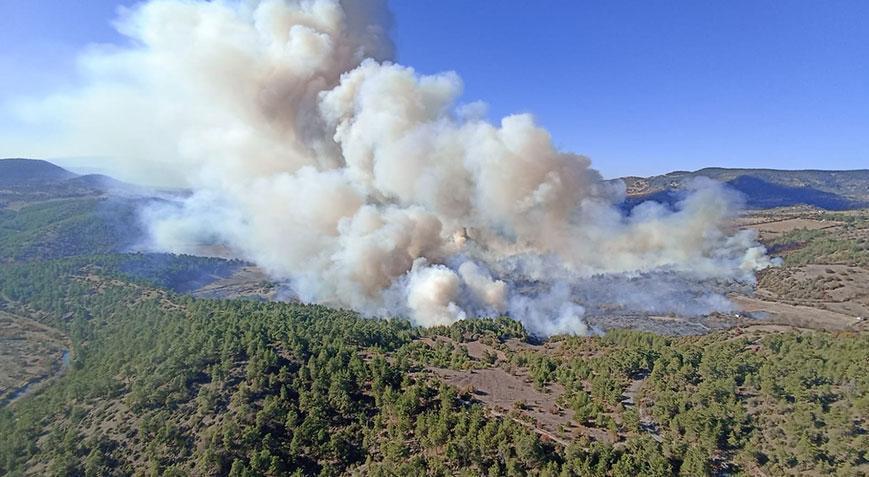 Bursa’nın 2 ilçesinde orman yangını! Müdahale ediliyor