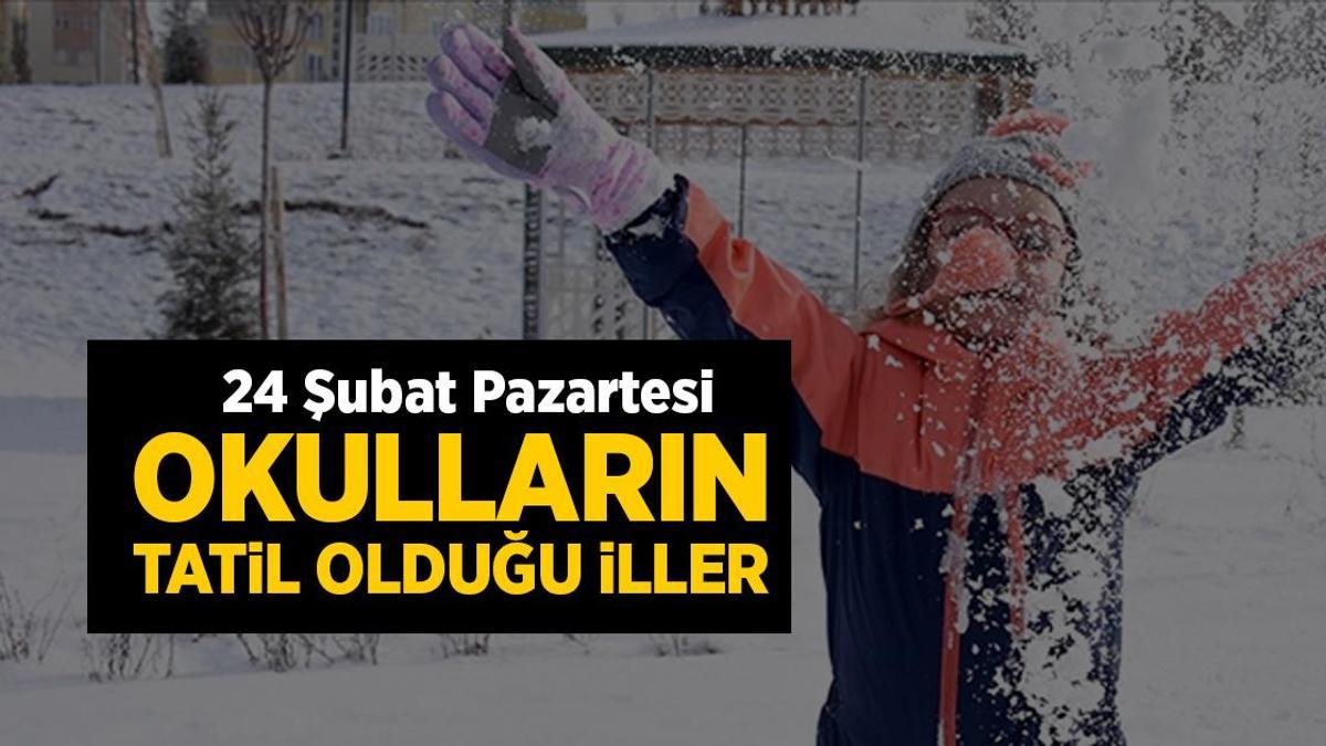 Eğitime kar engeli! Peş peşe duyurdular: İşte pazartesi okulların tatil olduğu iller