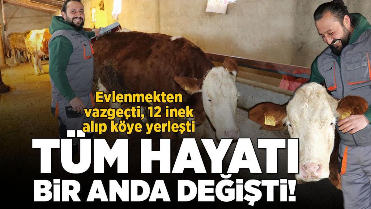 Evlenmekten vazgeçti 12 inek alıp köye yerleşti! Tüm hayatı değişti