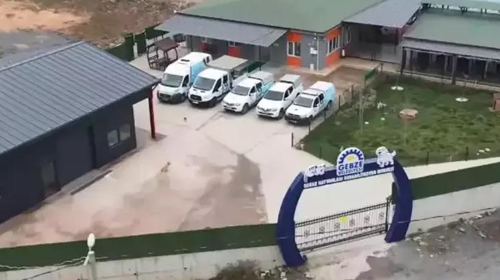 Gebze Belediyesi'nden hayvan bakım merkeziyle ilgili açıklama