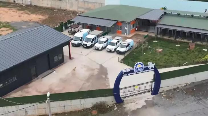  Gebze'de hayvan bakım merkezinde 45 hayvanın ölümüyle ilgili otopsi raporu açıklandı