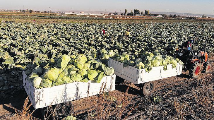 ‘Gübre fiyatı 1 ayda yüzde 10 artış gösterdi’