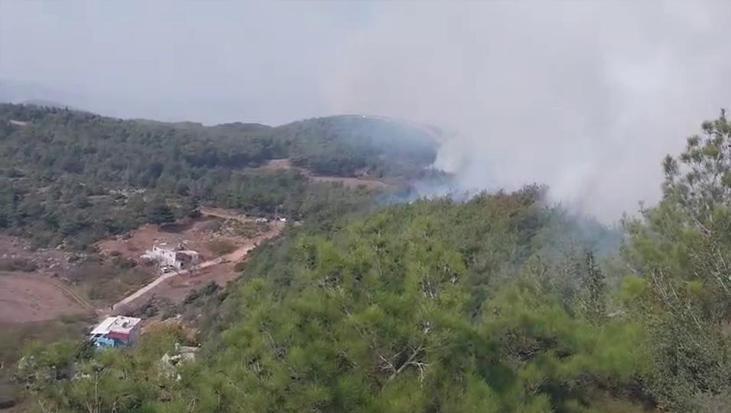 Hatay'da orman yangını: Müdahale sürüyor