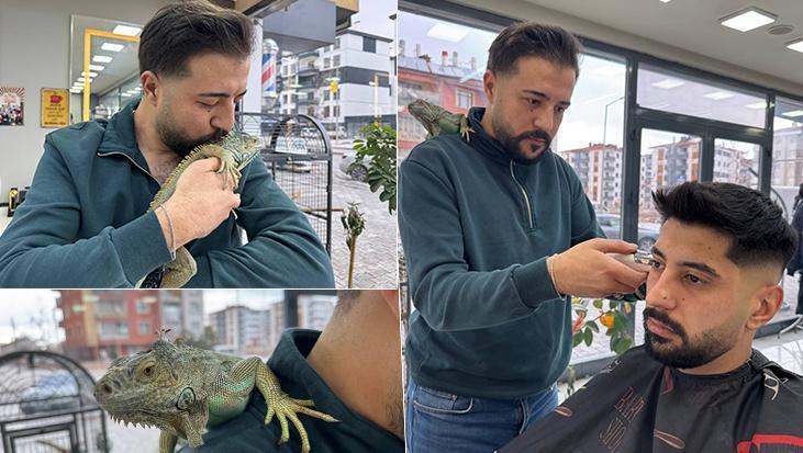 İguana ile tıraş! Onun için kilometrelerce yol geliyorlar