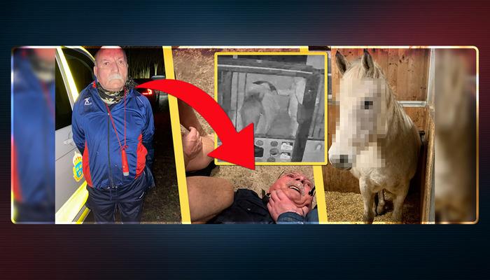İsveç bu olayı konuşuyor! Terör örgütü PKK'nın sözde Avrupa sorumlusu Senanik Öner ata tecavüz etti, suçüstü yakalandı
