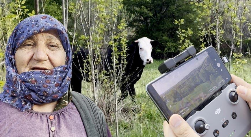 Kezban ninenin yardımına koştular! Kaçak düve dron ile bulundu