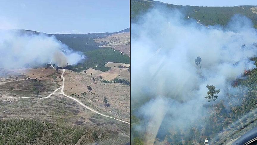 Manisa'da orman yangını! Havadan ve karadan müdahale ediyor