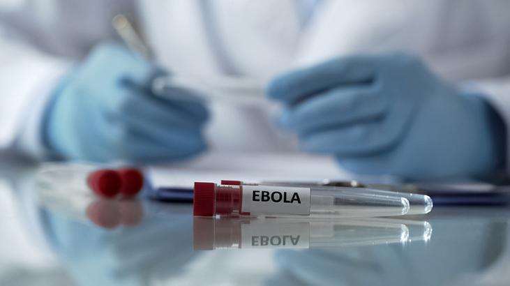 Nijerya'da Ebola alarmı