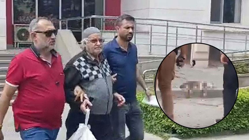 Savcılık itiraz etti! Sokak kedisini pompalı tüfekle öldüren şüpheli hakkında flaş karar
