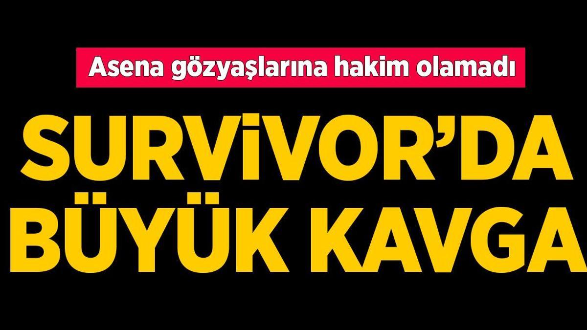 Survivor'da All Star takımı fena karıştı! Asena - Aycan kavgasına Hikmet de dahil oldu