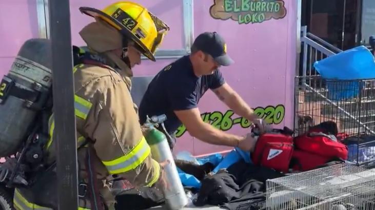 Texas'ta alışveriş merkezinde yangın! Petshoptaki yüzlerce hayvan öldü