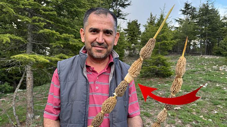 Tüm köy ihya oldu: Altın bulsak belki bu kadar sevinmeyiz