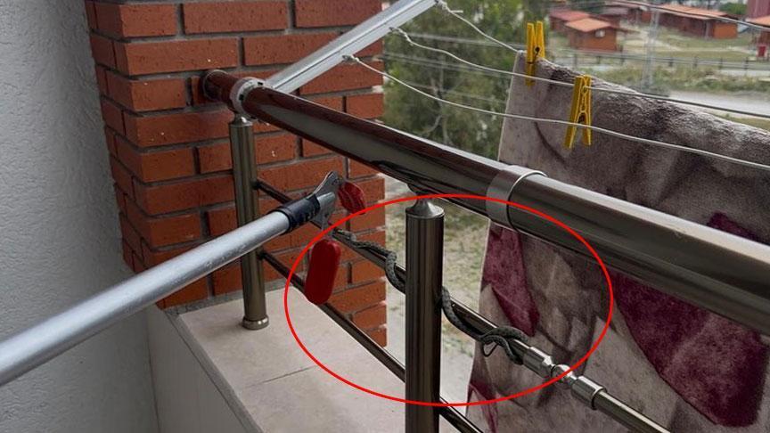 Yılanlar bir kenti sardı! Evin balkonunda büyük panik
